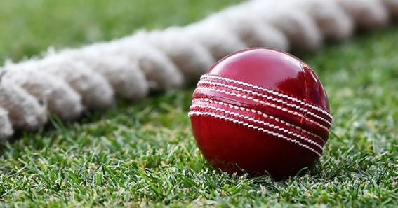 Cricket Ball 